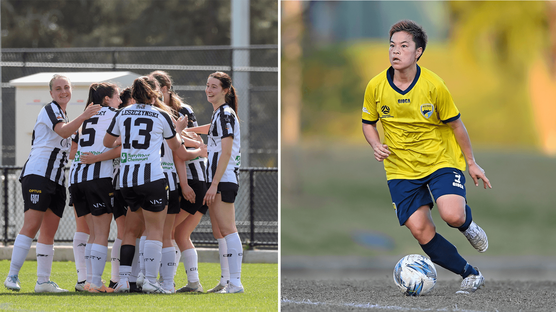 NPL Women's Results Wrap NSW, NNSW, SA, QLD, WA, ACT National Premier Leagues