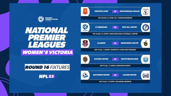 nplvic nplvic